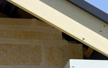soffit repair Coedcae
