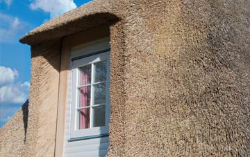 Coedcae thatch roof disadvantages