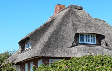 thatch roofing Coedcae