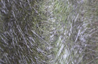 Coedcae fibreglass roof work